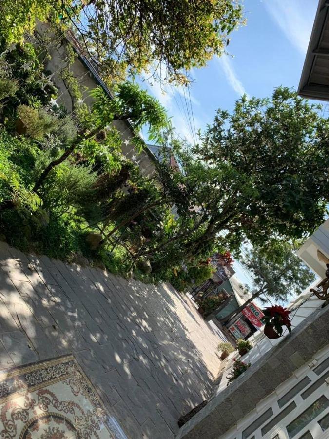 De Daisy Villa Homestay Νταλάτ Εξωτερικό φωτογραφία