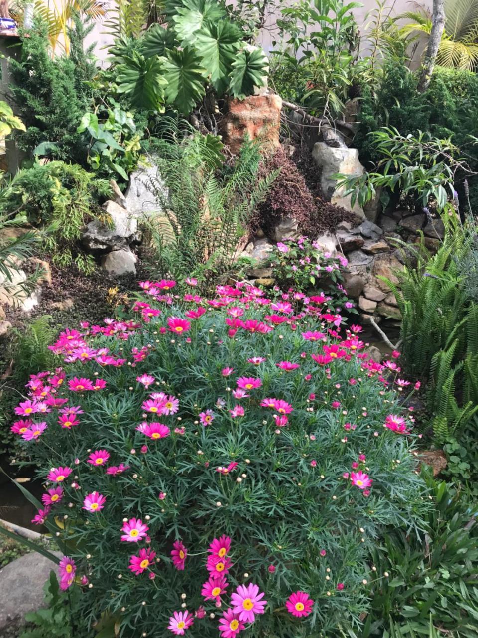 De Daisy Villa Homestay Νταλάτ Εξωτερικό φωτογραφία