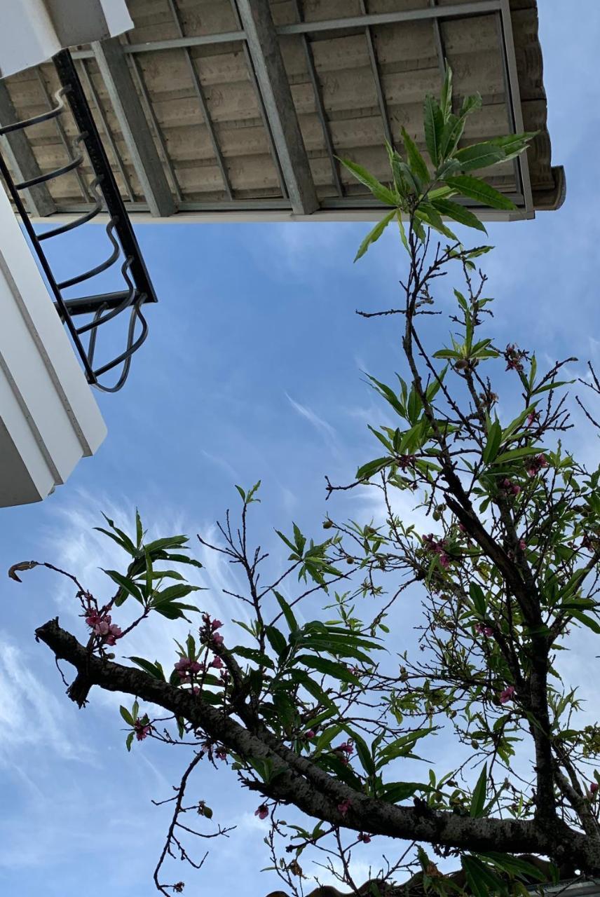 De Daisy Villa Homestay Νταλάτ Εξωτερικό φωτογραφία