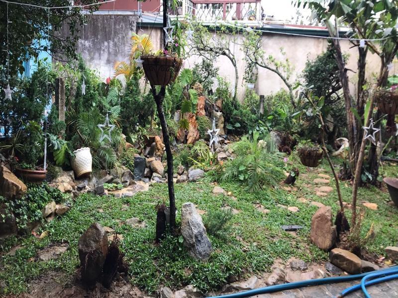 De Daisy Villa Homestay Νταλάτ Εξωτερικό φωτογραφία